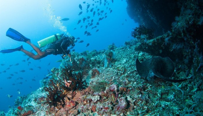 Diving Maldive Veratour