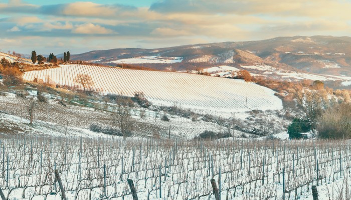 Capodanno nel Chianti