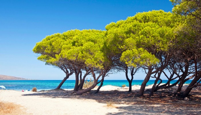 Futura Club Cala Fiorita Marina di Agrustos Sardegna Budoni