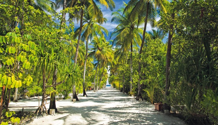 Bravo Maayafushi Island Resort