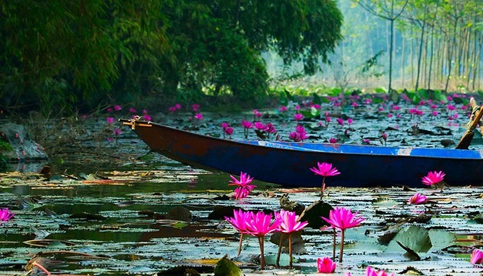 Capodanno in Vietnam